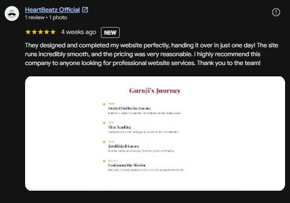 Shine Aspire Google My Business Client Review 8
