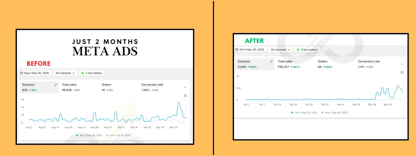 300% Organic Growth for E-commerce Brand